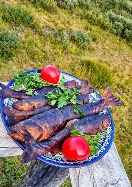 Копчёная форель с зеленью и помидорами