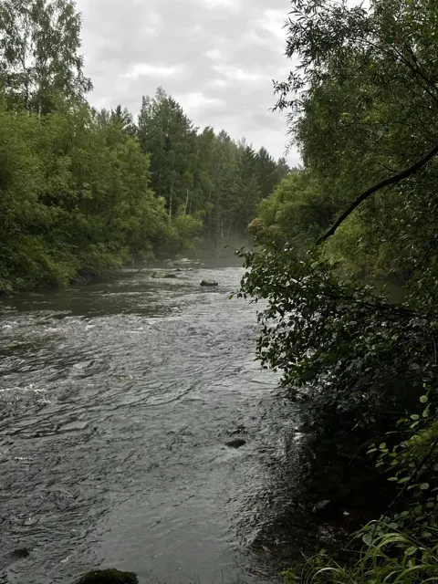 Перекат в утреннем тумане