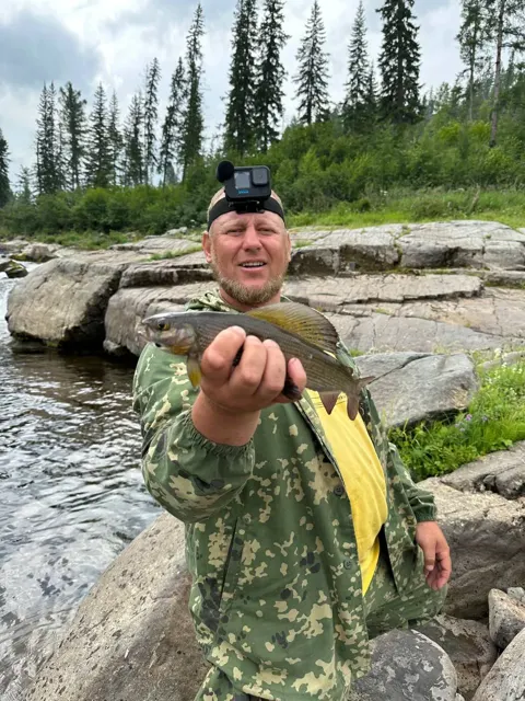 Хариус в руках рыбака на каменистом берегу