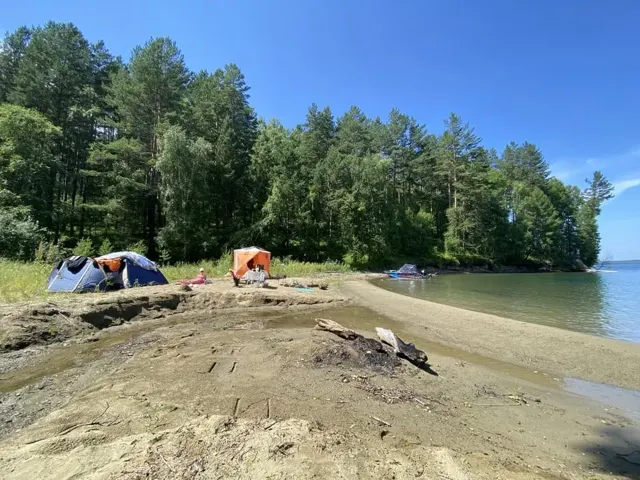 Песчаный берег и сосновый лес